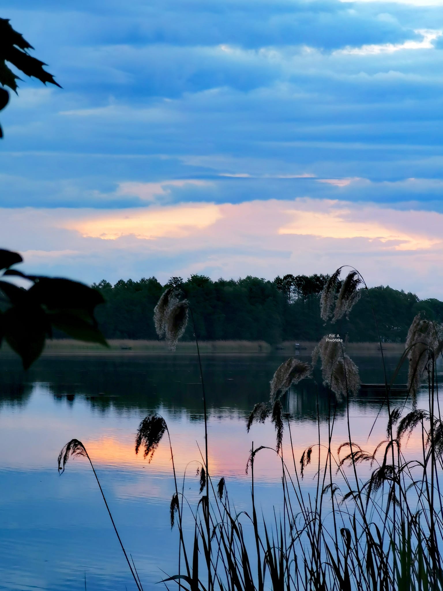 Lake view